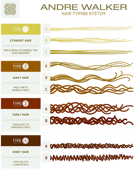 Andre Walker Hair Typing System