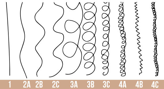 Coquette Hair